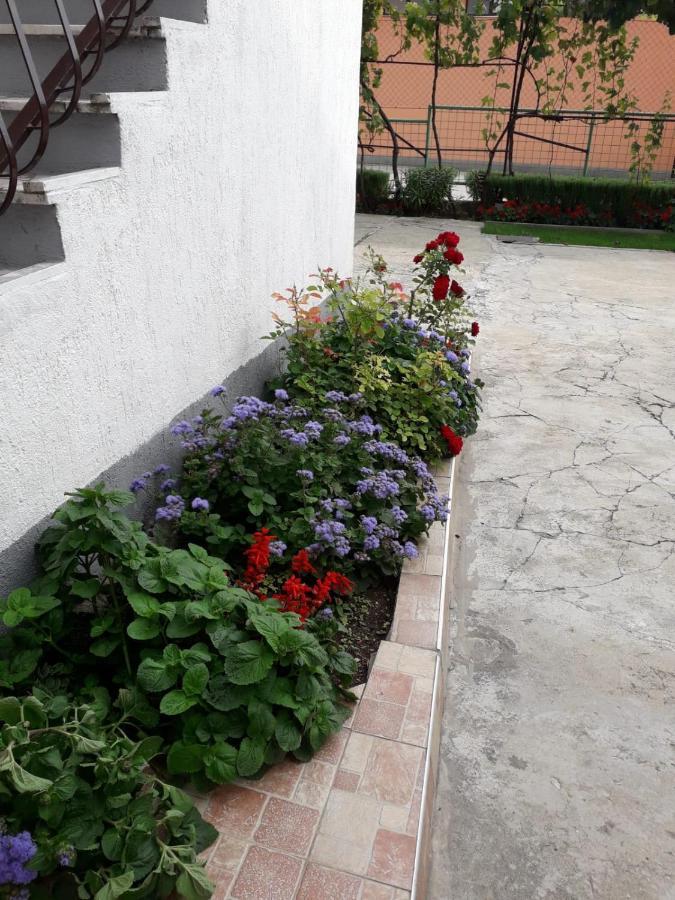 Villa Kuca Za Odmor Varos à Vrlika Extérieur photo
